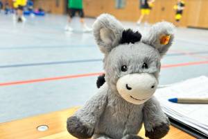 02_Maskottchen.jpg