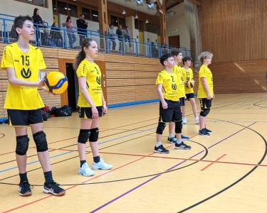 bild_u15_einschlagen.jpg