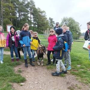 Bild03_Teambuilding_Spaziergang mit Ziege.jpg