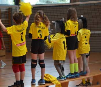 Bild02_Anfeuern.JPG