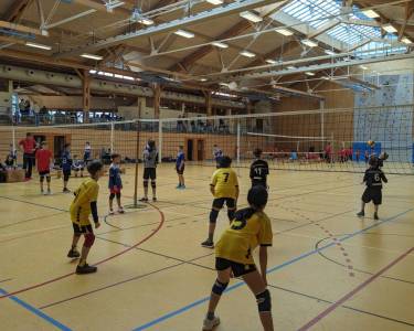 Bild_U13m_Halle.jpg