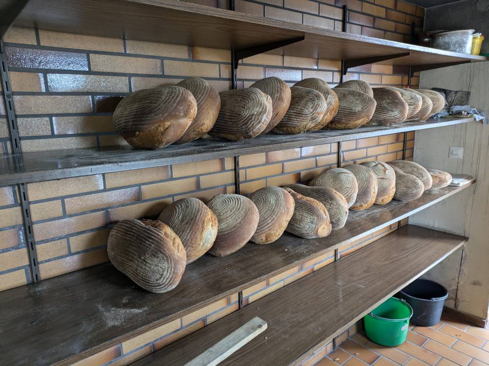 Backhausbrote